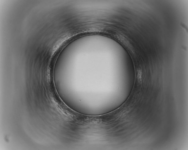 X0000101950676200808011046