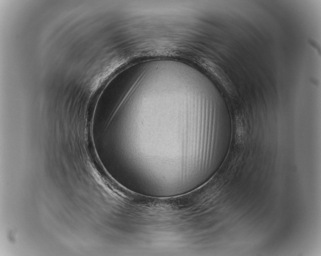 X0000101950677200808011046