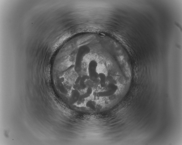 X0000101950679200808011046