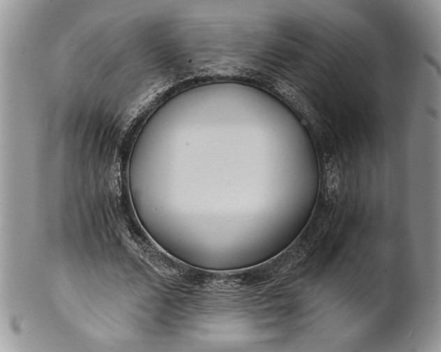 X0000101950680200808011046