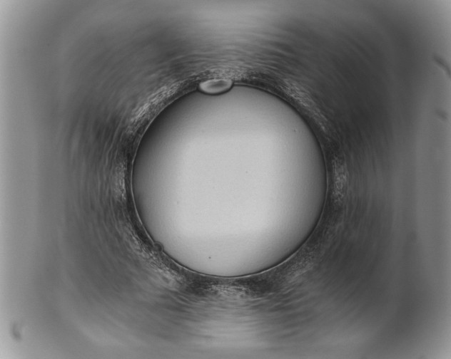 X0000101950681200808011046