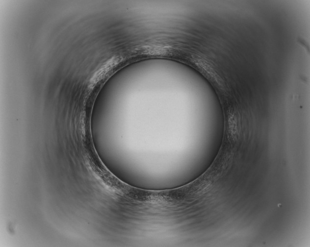 X0000101950682200808011046