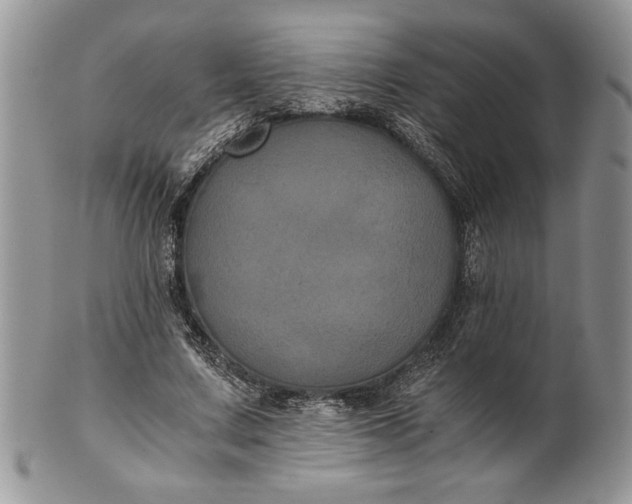 X0000101950683200808011046