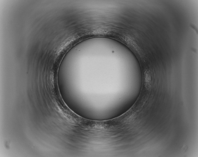 X0000101950684200808011046