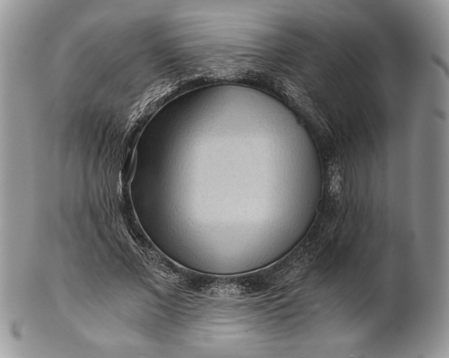 X0000101950685200808011046