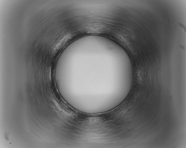 X0000101950686200808011046