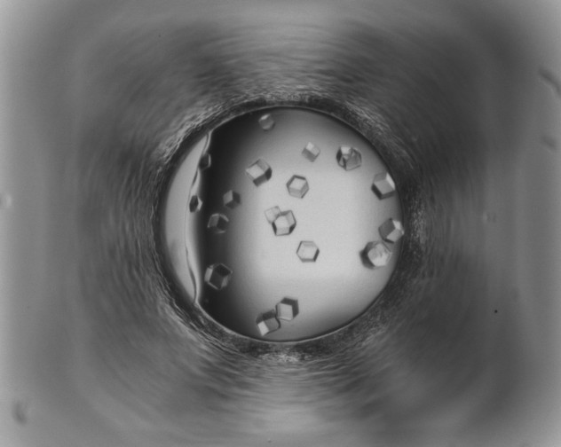 X0000101950687200808011046