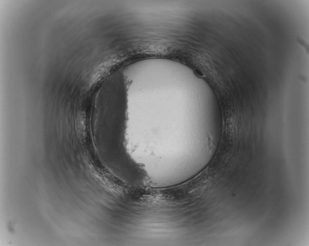 X0000101950688200808011046