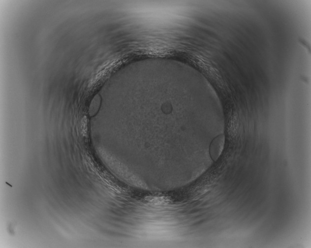 X0000101950689200808011046