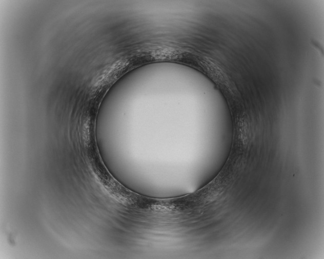 X0000101950690200808011046