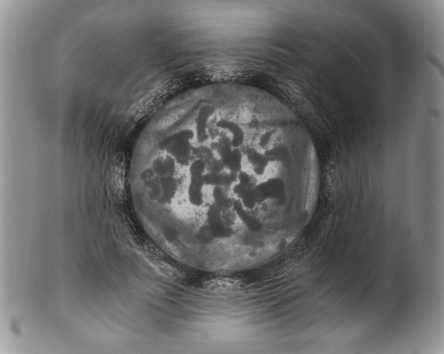 X0000101950691200808011046