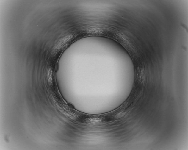 X0000101950692200808011046