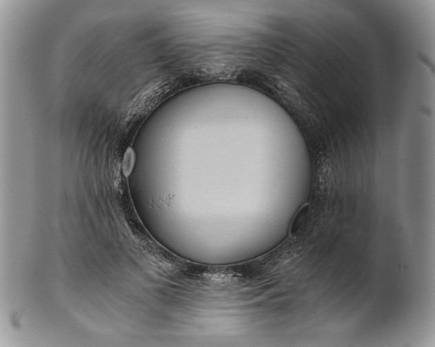 X0000101950693200808011046