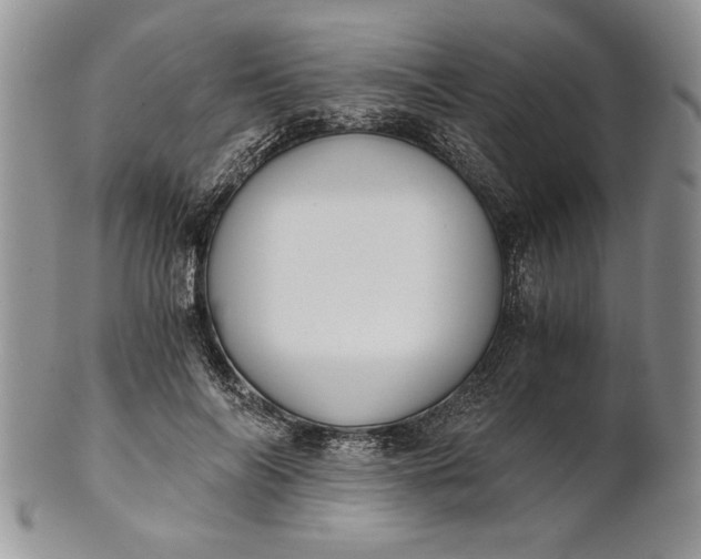 X0000101950694200808011046