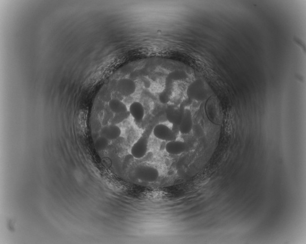 X0000101950695200808011046