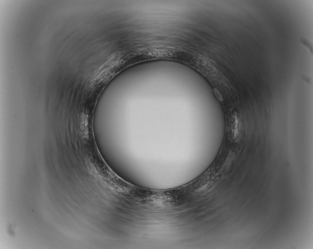 X0000101950696200808011046