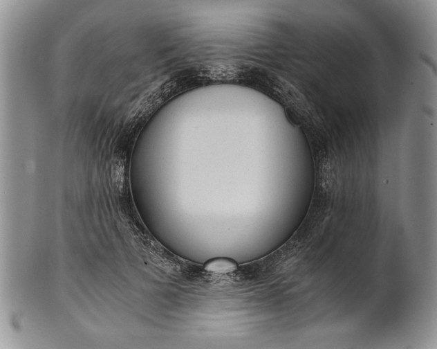 X0000101950697200808011046