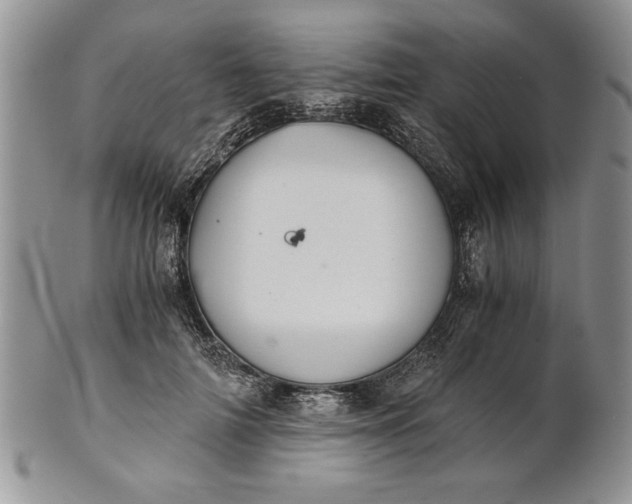 X0000101950698200808011046