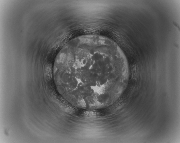 X0000101950699200808011046