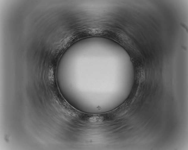 X0000101950700200808011046