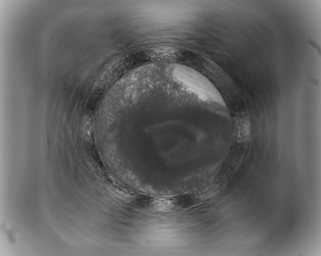 X0000101950701200808011046