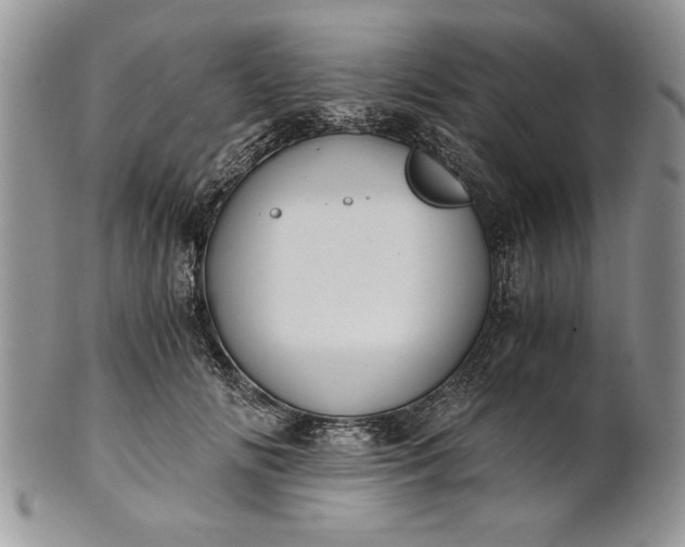 X0000101950702200808011046