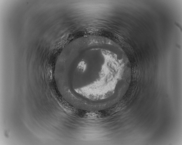 X0000101950703200808011046