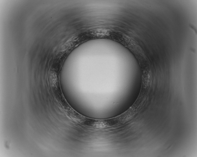 X0000101950704200808011046