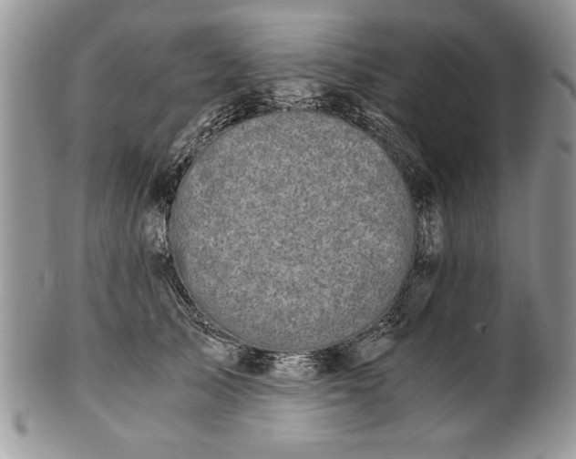 X0000101950705200808011046