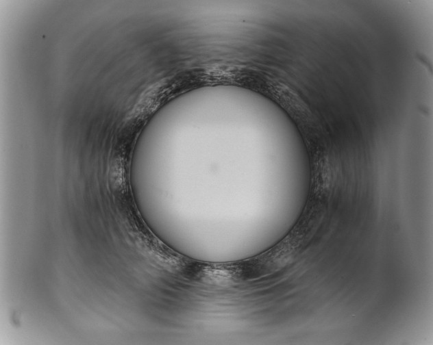 X0000101950706200808011046