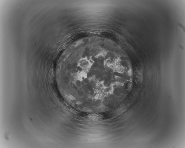 X0000101950707200808011046