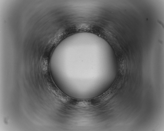 X0000101950708200808011045