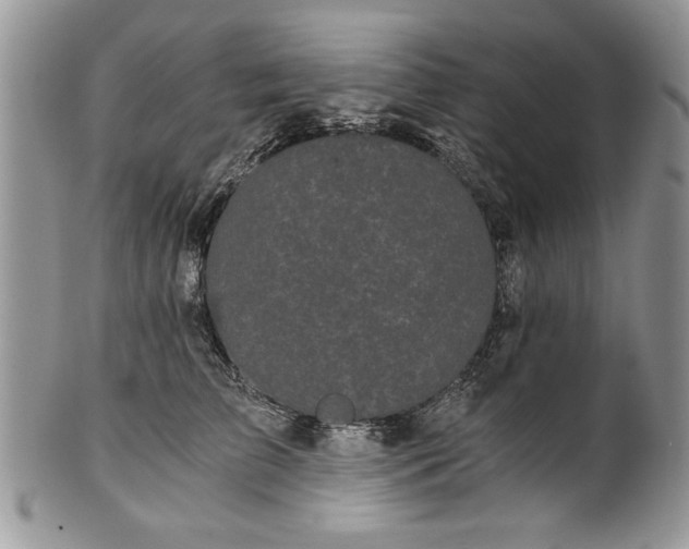 X0000101950709200808011045