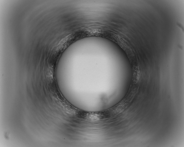 X0000101950710200808011045