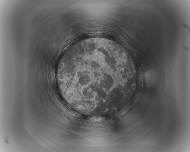 X0000101950711200808011045