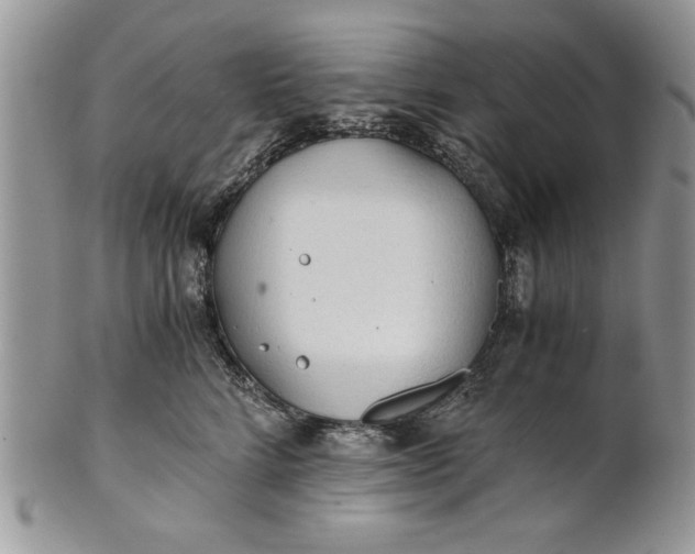 X0000101950712200808011045