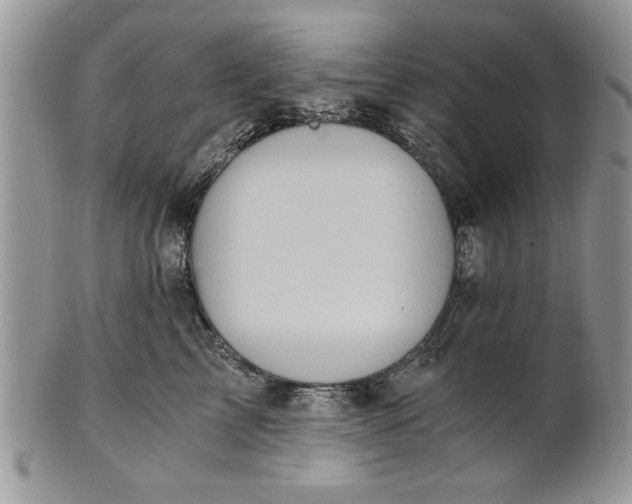 X0000101950713200808011045