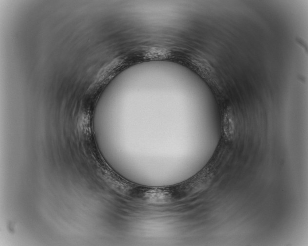 X0000101950714200808011045