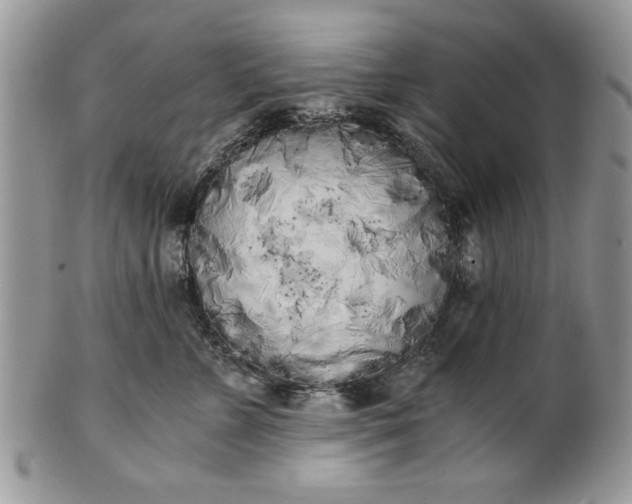 X0000101950715200808011045