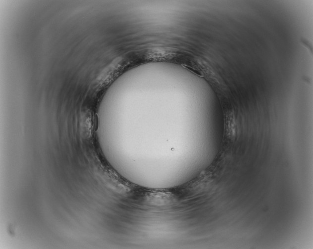 X0000101950716200808011045