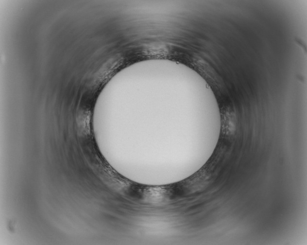 X0000101950717200808011045