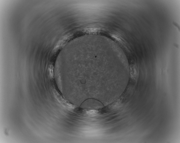 X0000101950718200808011045