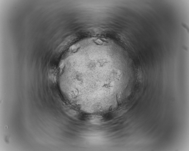 X0000101950719200808011045