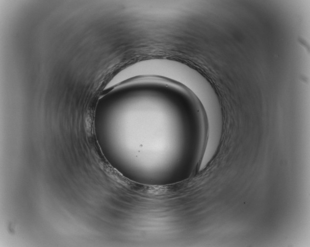 X0000101950720200808011045