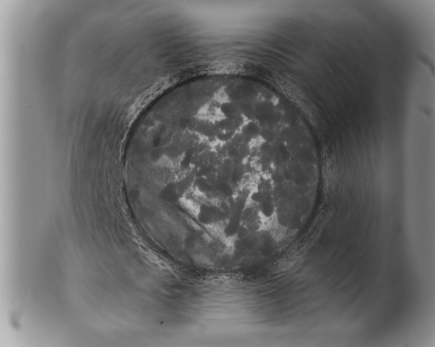 X0000101950721200808011045