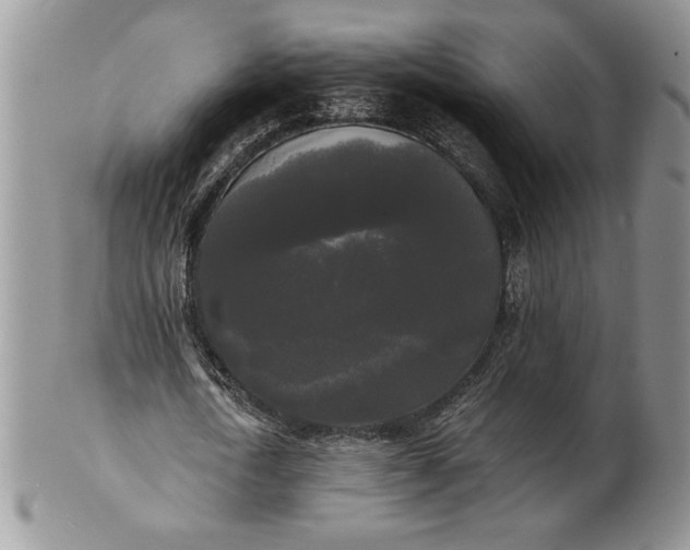 X0000101950722200808011045