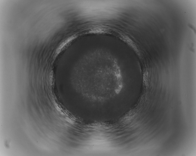 X0000101950724200808011045