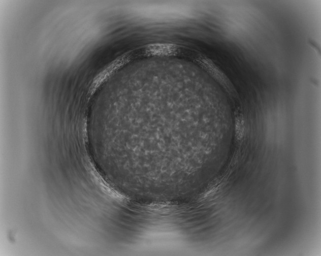 X0000101950725200808011045