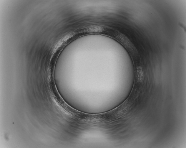 X0000101950726200808011045