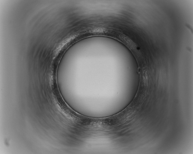 X0000101950728200808011045